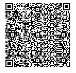 UPI Payment QR Code
